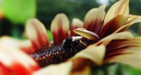 image-banner-blur